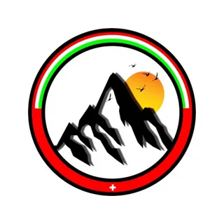Custom Trio Color Retro Racing - огляд і ціна Car Accessories Quotes
