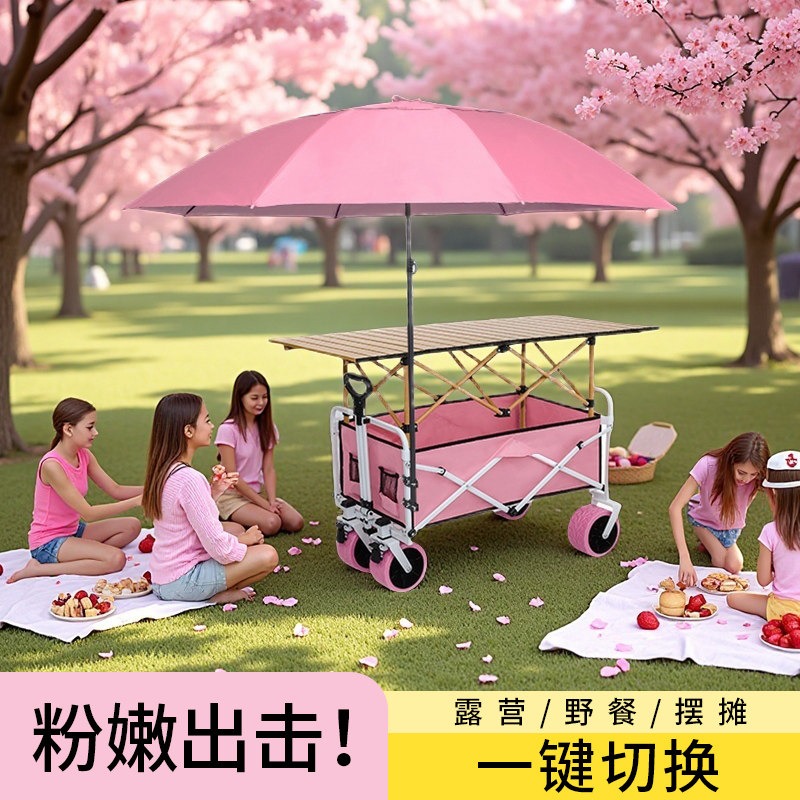Pink Camper Folding Stall Trol - огляд і ціна Car Accessories You Must Have